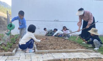 门古寺镇中心幼儿园：小小农夫体验日共筑节约梦