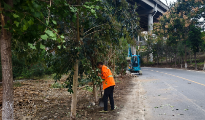 房县公路养护中心：路肩整治换新颜，扮靓出行“风景线”