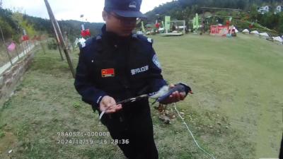 房县：青鸟“落难”  警民共同守护