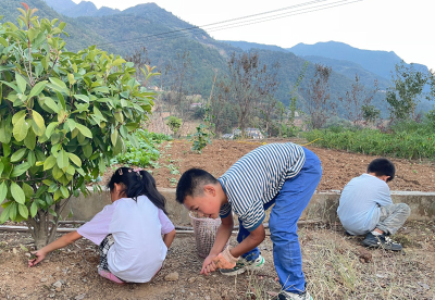 九道乡关坪小学：环境勤整治 校园焕新颜