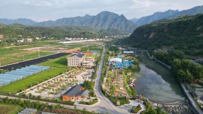 房县：消防护航高“蜂”期 智取蜂窝除隐患解民忧