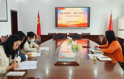 房县实验小学：强化党务能力 提升工作实效