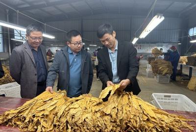 房县九道乡：为农服务暖人心 率先垂范显担当