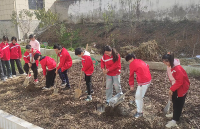 城关镇炳公小学“育”见劳动“植”得期待