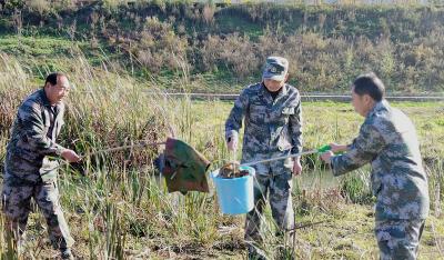 房县退役军人：守水护水共绘生态新画卷