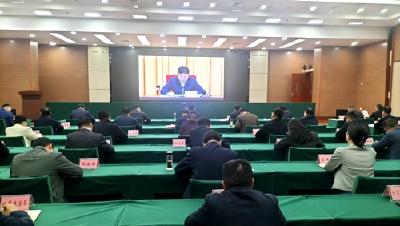  我县收听收看全市深入开展“三大行动”巩固拓展脱贫攻坚成果视频会