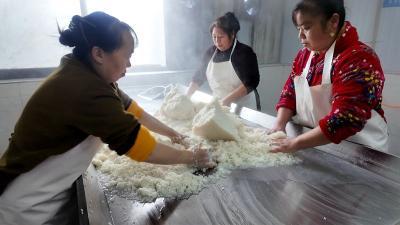 【记者走基层】一碗“黄酒”飘出致富香