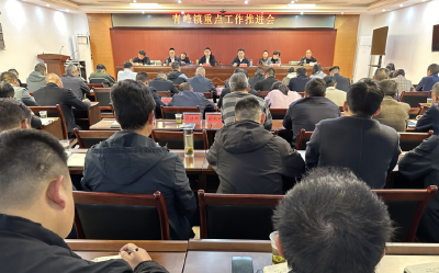 青峰镇召开重点工作推进会