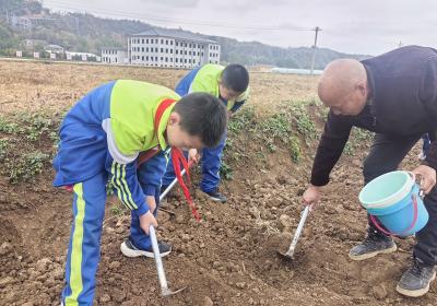 军店小学：传承农耕文明 践行劳动教育