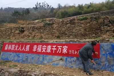 沙河乡：未雨绸缪打好森林防火“主动仗”