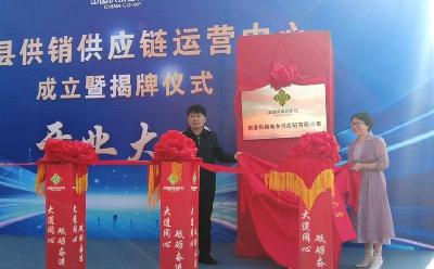 房县供销供应链运营中心正式启动运行