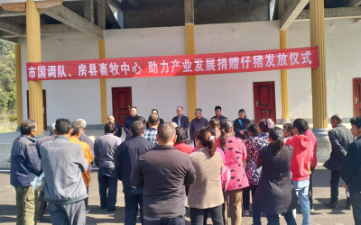 沙河乡：喜领“振兴猪” 致富有奔头