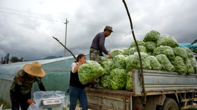 湖北房县：推行三金利益联结机制 促进农民增收致富 