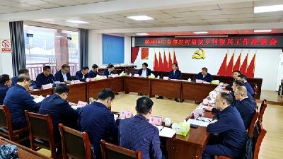 国家电网副总工程师田博一行来我县调研乡村振兴工作