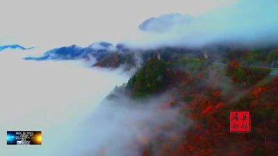 房县：漫山红叶美如画 层林尽染醉金秋