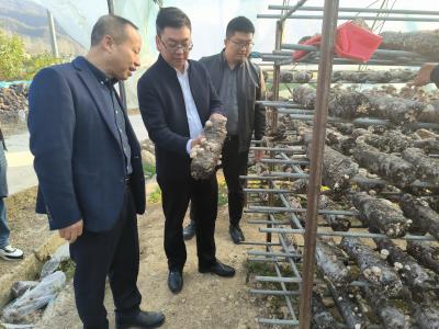 白鹤镇：武汉文理学院结对帮扶助力乡村振兴