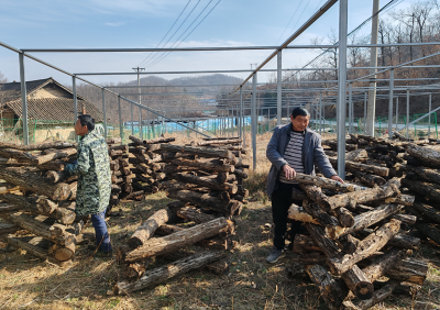 沙河乡：发展“庭院经济”拓宽增收渠道