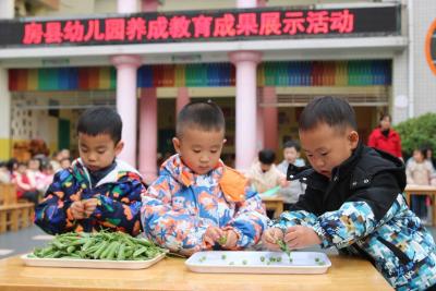 房县幼儿园教联体：劳动润童心 实践促成长