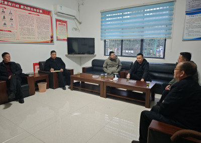 杨斌到东河村调研：以老百姓脸上的笑容检验工作成效