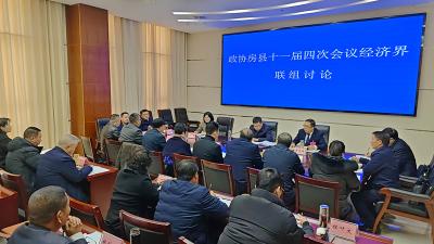 杨丹华参加政协房县十一届四次会议经济界联组讨论
