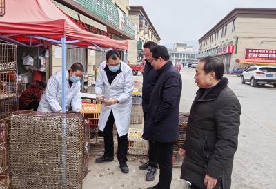 房县畜牧兽医服务中心：“禽”牵舌尖安全“监”铸疫控屏障
