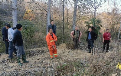 窑淮镇观音堂村：扎实开展巡林防火  共筑绿色安全屏障