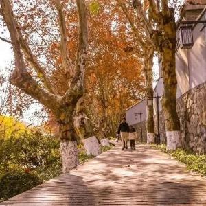 ‌县妇幼保健院：推行十项措施 改善就医体验获患者点赞‌