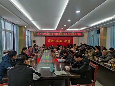 野人谷镇：学习贯彻县委十五届六次全会精神