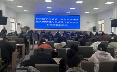 窑淮镇：学习贯彻县委十五届六次全体会议精神