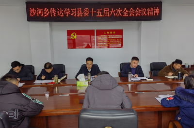 沙河乡：学习贯彻县委十五届六次全会精神