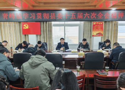 青峰镇学习贯彻县委十五届六次全会精神