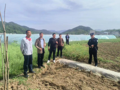 白鹤镇：户户走到解民忧 用心用力暖民心