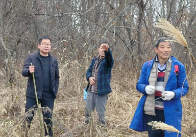 九道乡：多措并举筑牢森林防火墙