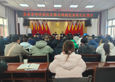 十五届县委第七轮巡察完成反馈