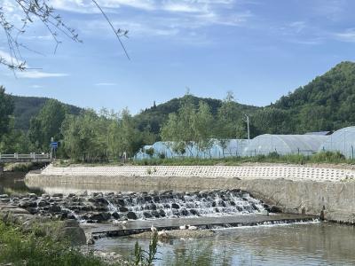 房县化龙堰镇：守护碧水清波  绘就生态画卷