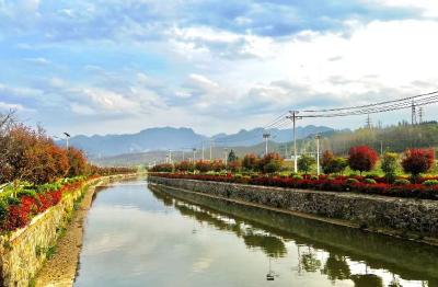 《记者走基层》 土城镇龙坪村：冬菇丰收采摘忙