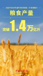 硬气、底气、锐气，习近平新年贺词里的三个数字