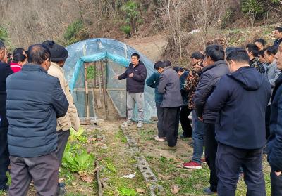 九道乡:开展烟叶育苗现场培训  带动现场观摩提升技术