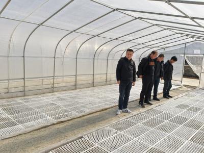 青峰镇：精耕细作育“金苗”  科学管理促增收