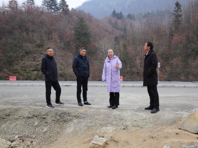 王玲到土城镇督导十房一级路及乡村振兴工作