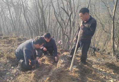 房县供销社驻村工作队：播撒希望种 共筑振兴梦