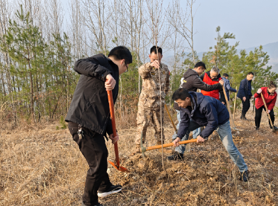 青峰镇：植树添新绿 “树”写生态卷
