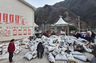 上龛乡：以“绿色动能”助推“六无乡镇”建设