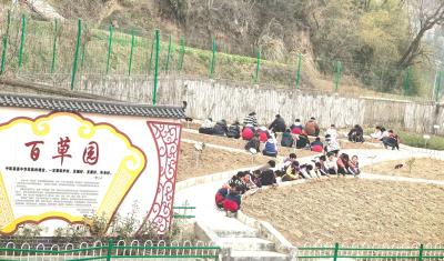 门古寺镇河兴小学 “小神农”春耕百草园 中医药文化焕新颜