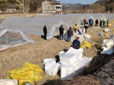 门古寺镇：奏响产业发展“奋进曲”  全力冲刺新春“开门红”