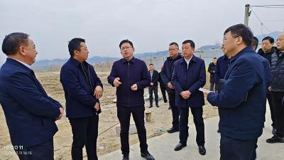 杨丹华调研重点招商项目落地和企业复工复产