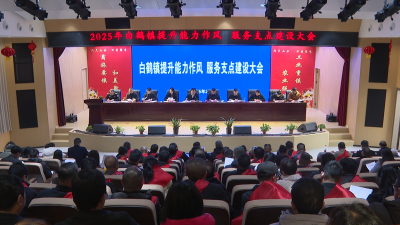 白鹤镇：提升能力作风  服务支点建设