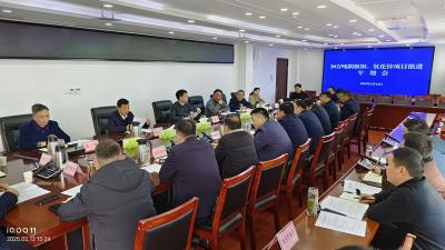 杨丹华研究推进20万吨阴极铜及氧化锌项目建设：强化要素保障  提速落地投产