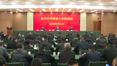 全市对村巡察工作推进会议在我县召开