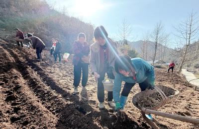 五台乡：高质量打造“黄精小镇” 蹚出乡村振兴新路径